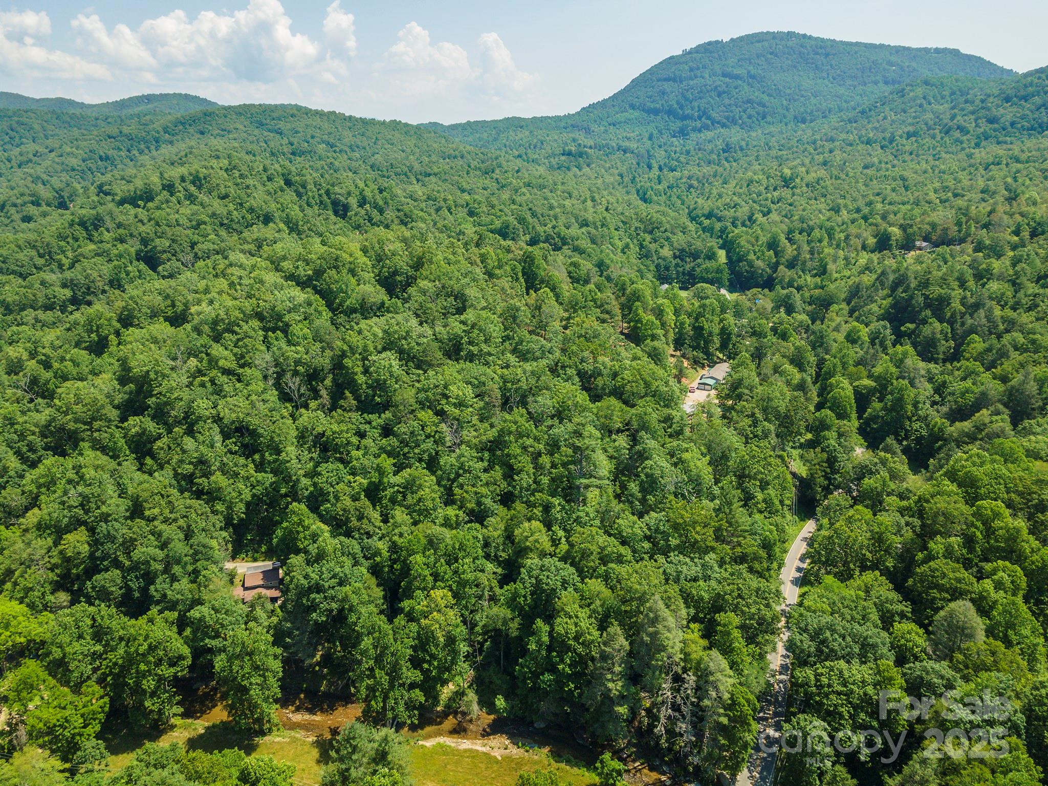 4 Roys Lane Black Mountain, NC 28711 - Photo 4 of 11 a view of a lush green forest with a house