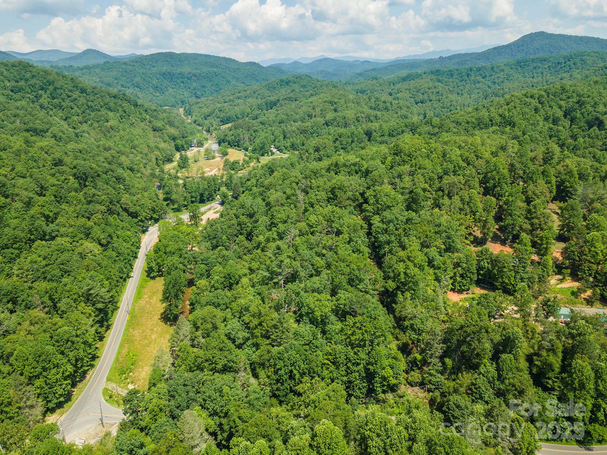 4 Roys Lane Black Mountain, NC 28711 - Photo 5 of 11 a view of a green yard with large trees