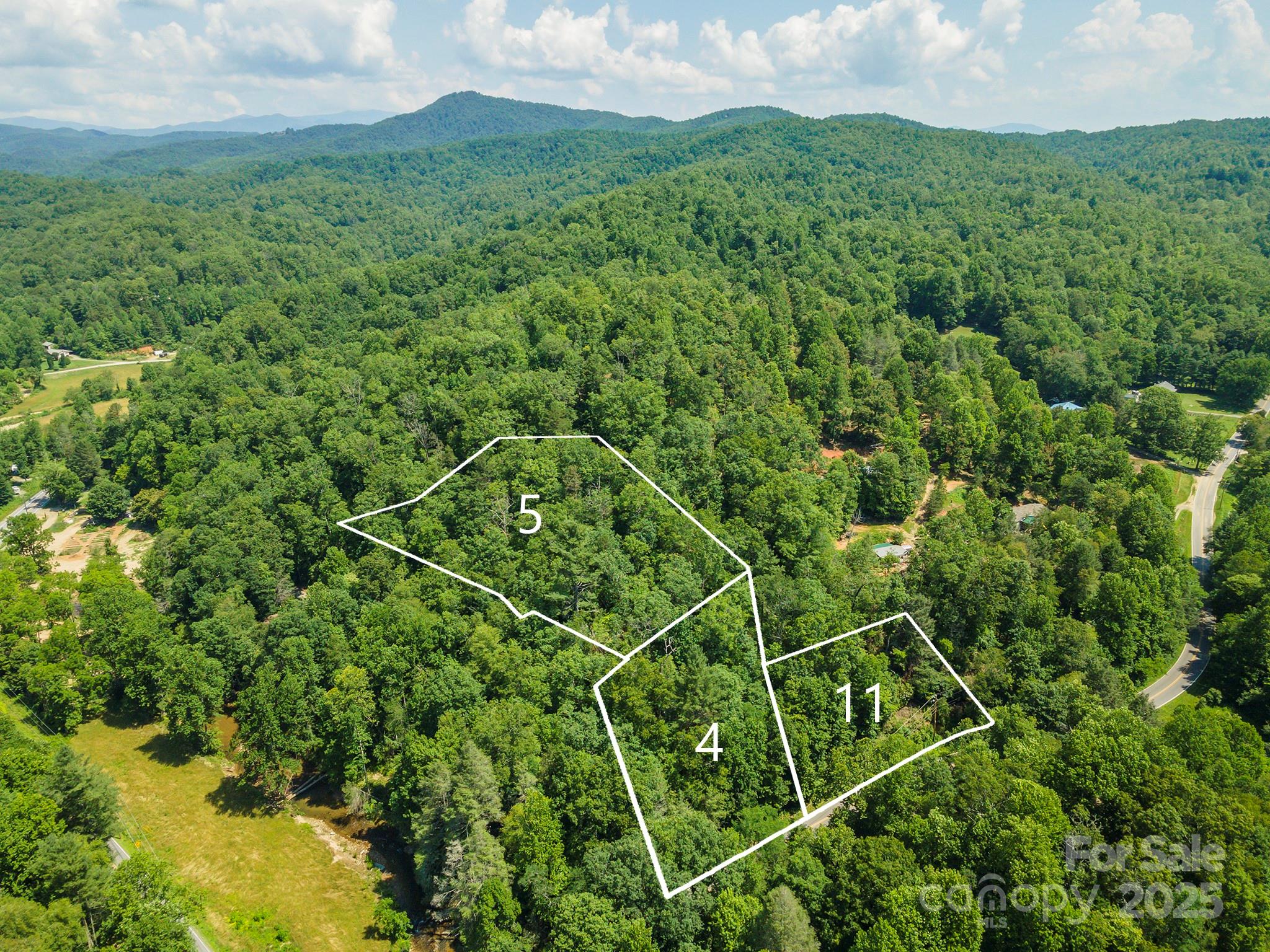 4 Roys Lane Black Mountain, NC 28711 - Photo 10 of 11 a view of a lush green forest with lots of trees