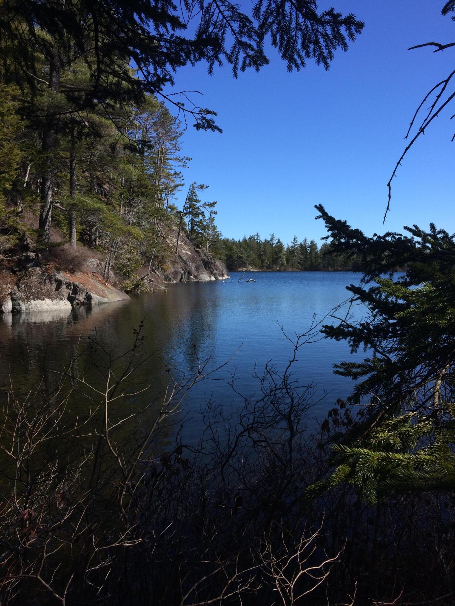 266 Pitman Road Sullivan, ME 04664 - Photo 100 of 121 IMG_4354