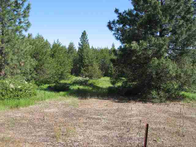 0 North Division Road Spokane, WA 99206 - Photo 5 of 8 Gallery Image 5