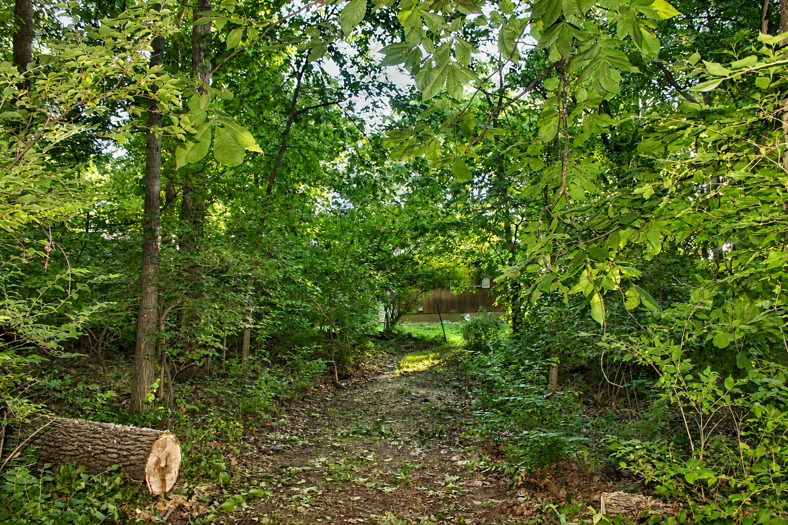 464 Carlock Road Carlock, IL 61725 - Photo 22 of 25