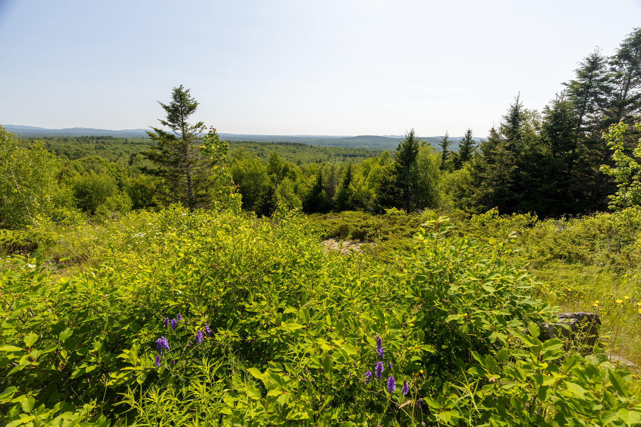 533 Mt Ephraim Road Searsport, ME 04974 - Photo 57 of 70