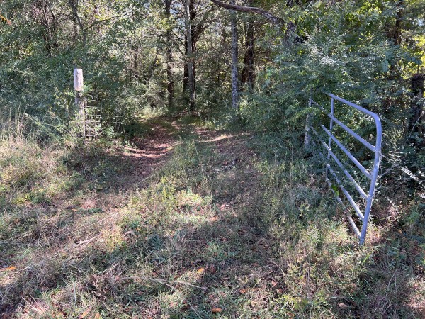 21 Arnold Road Flintville, TN 37335 - Photo 38 of 51 Gallery Image 38