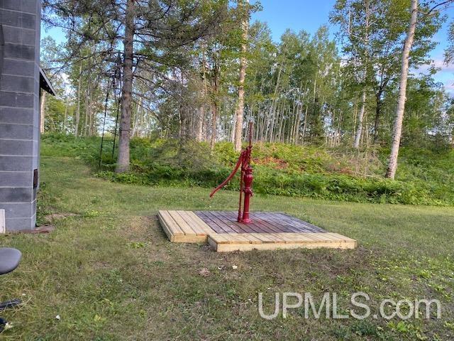 0 Co Rd Square Felch, MI 49831 - Photo 16 of 21