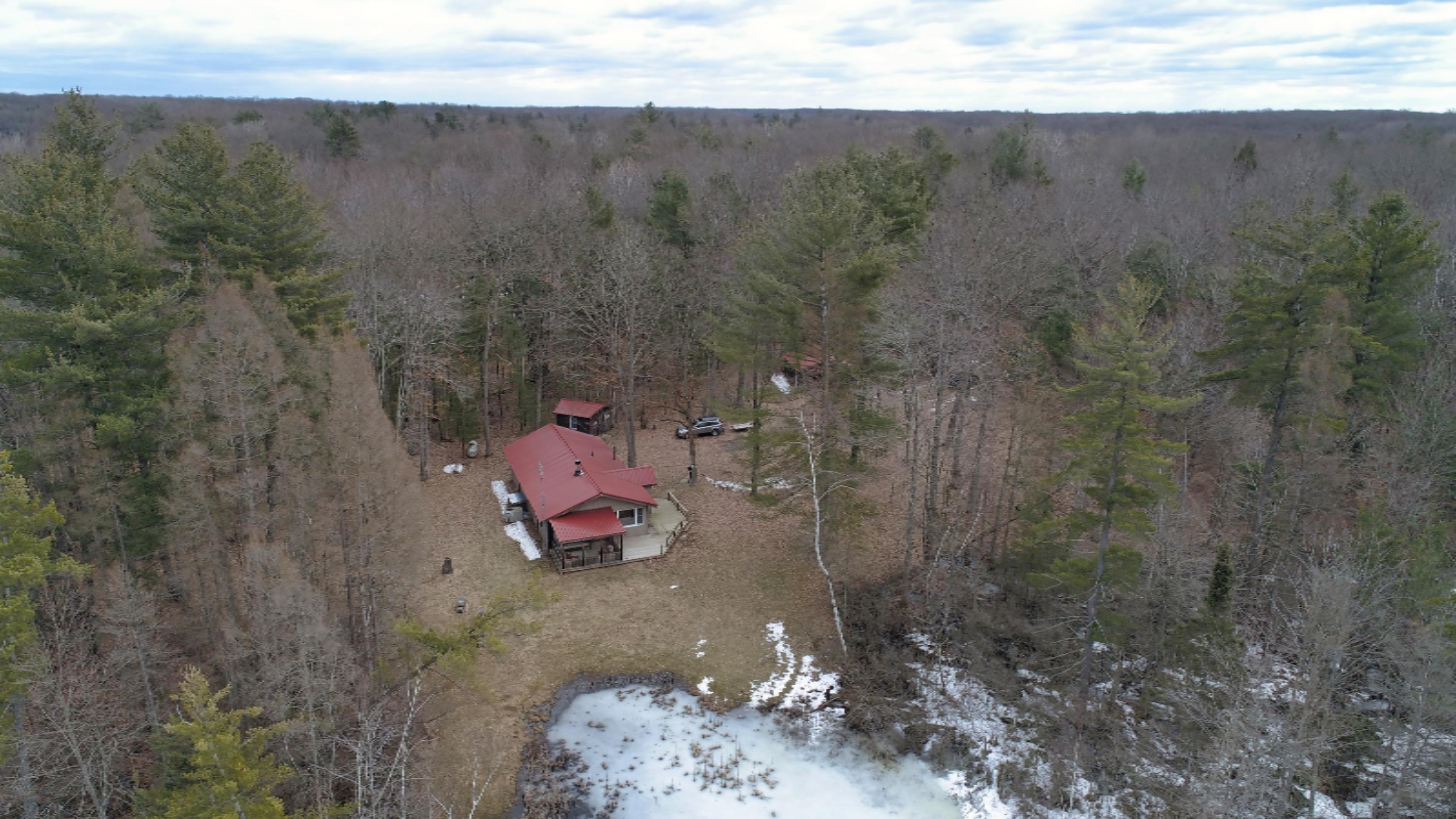 10873 North Hamilton Road Irons, MI 49644 - Photo 30 of 47 DJI_0011