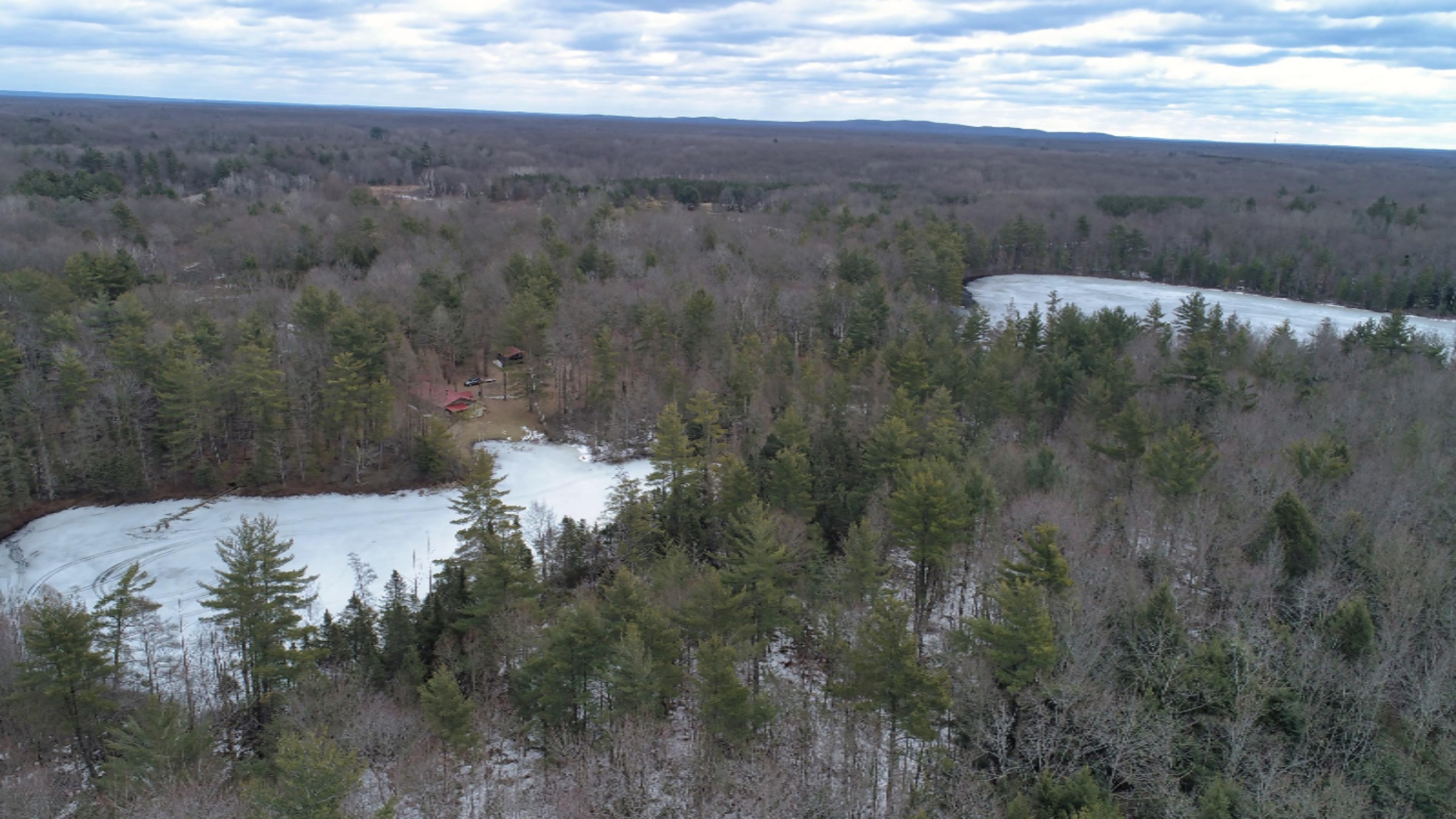 10873 North Hamilton Road Irons, MI 49644 - Photo 31 of 47 DJI_0013
