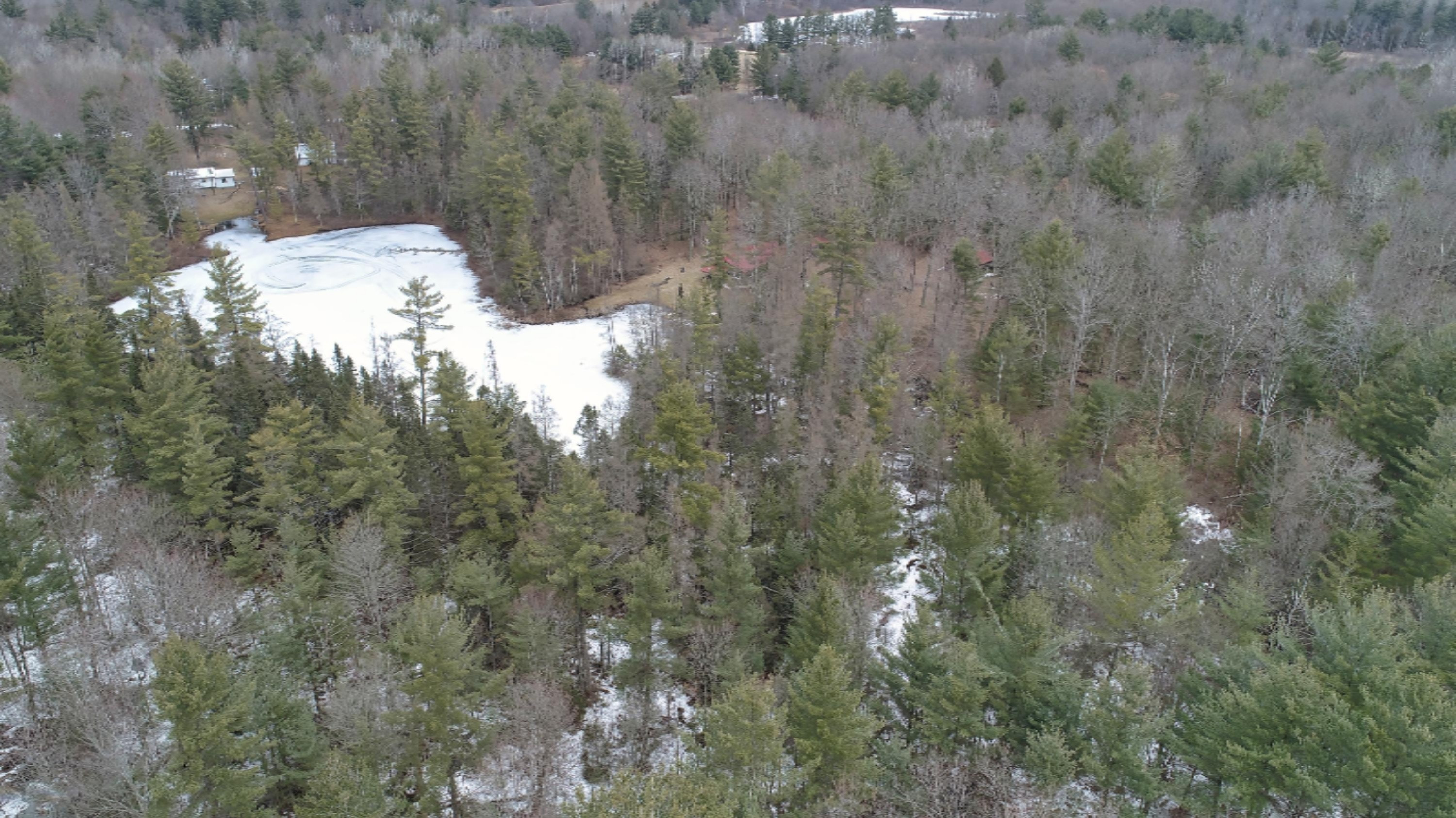 10873 North Hamilton Road Irons, MI 49644 - Photo 33 of 47 DJI_0017
