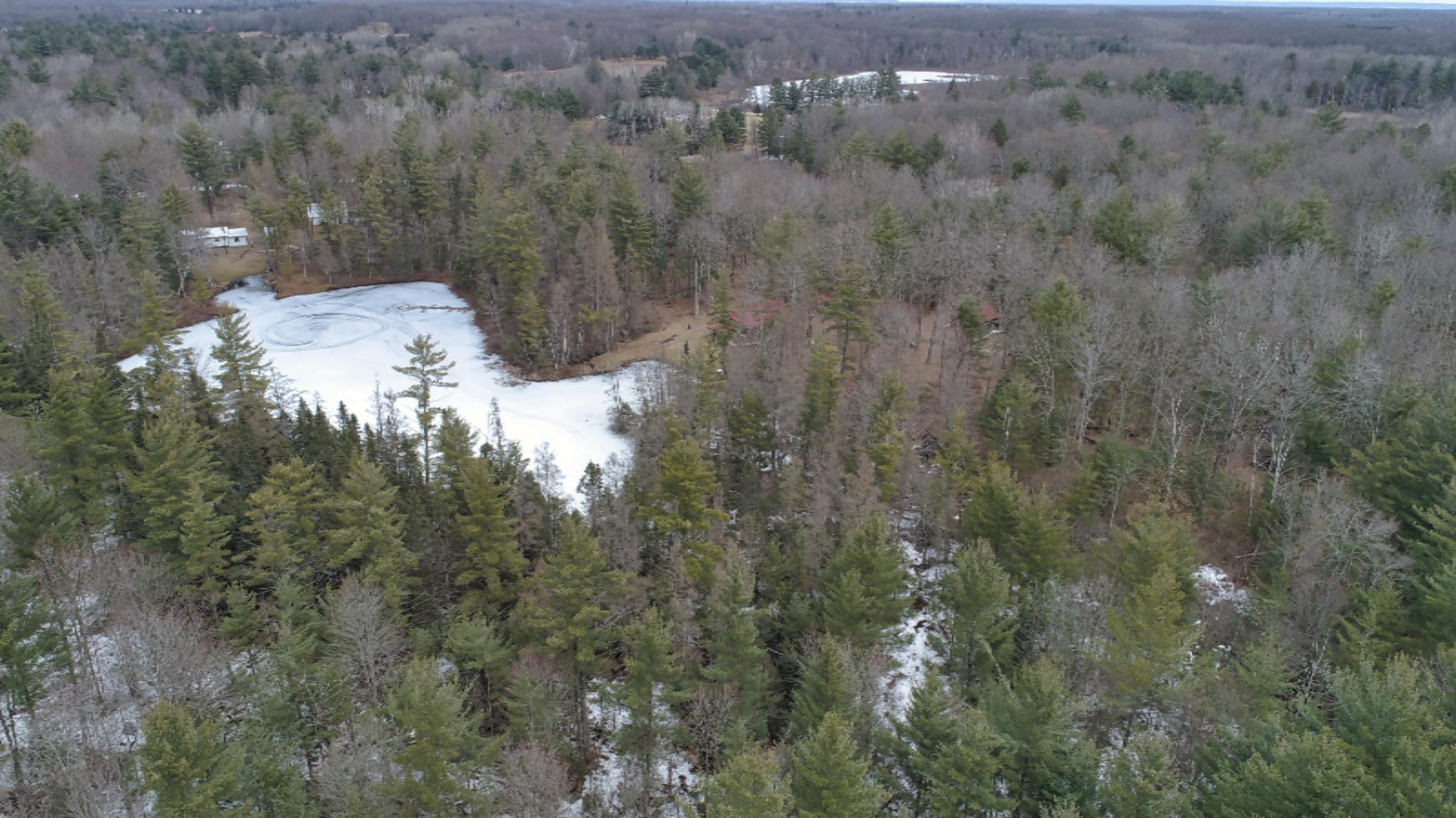 10873 North Hamilton Road Irons, MI 49644 - Photo 34 of 47 DJI_0018