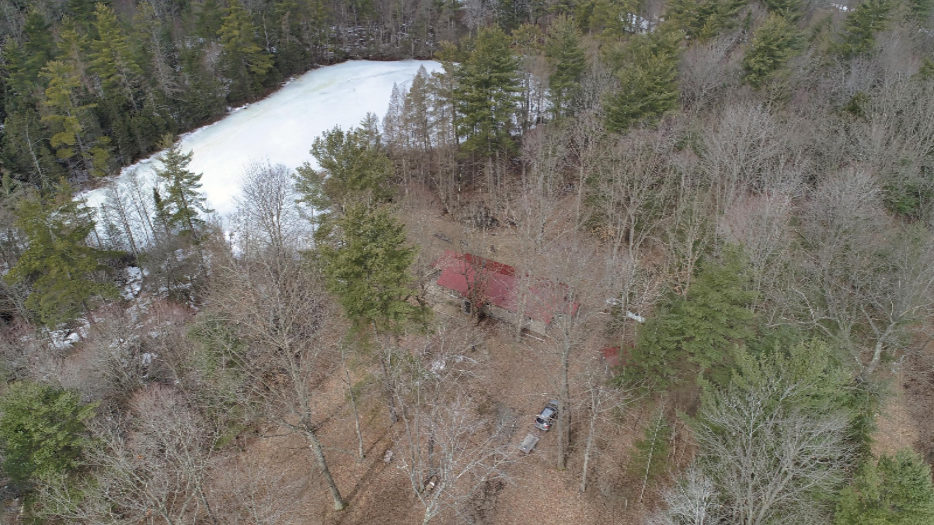 10873 North Hamilton Road Irons, MI 49644 - Photo 35 of 47 DJI_0025