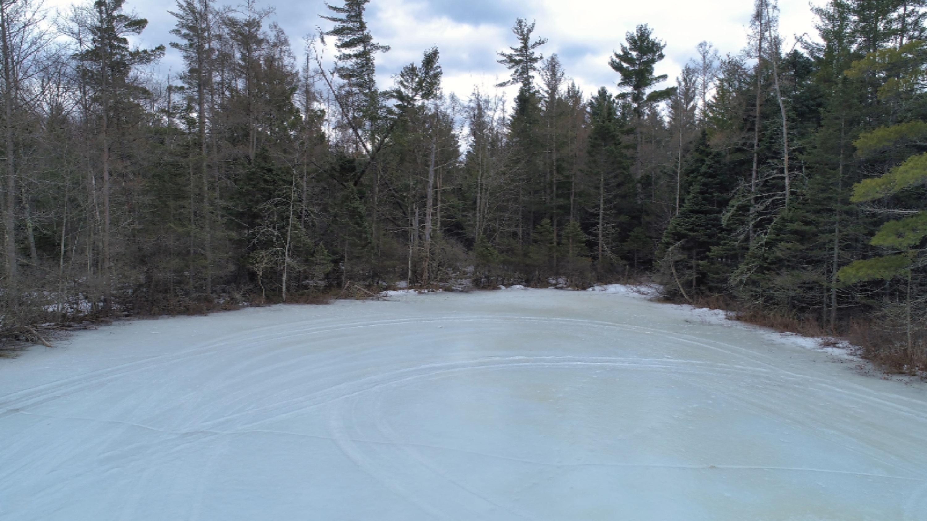 10873 North Hamilton Road Irons, MI 49644 - Photo 38 of 47 DJI_0041