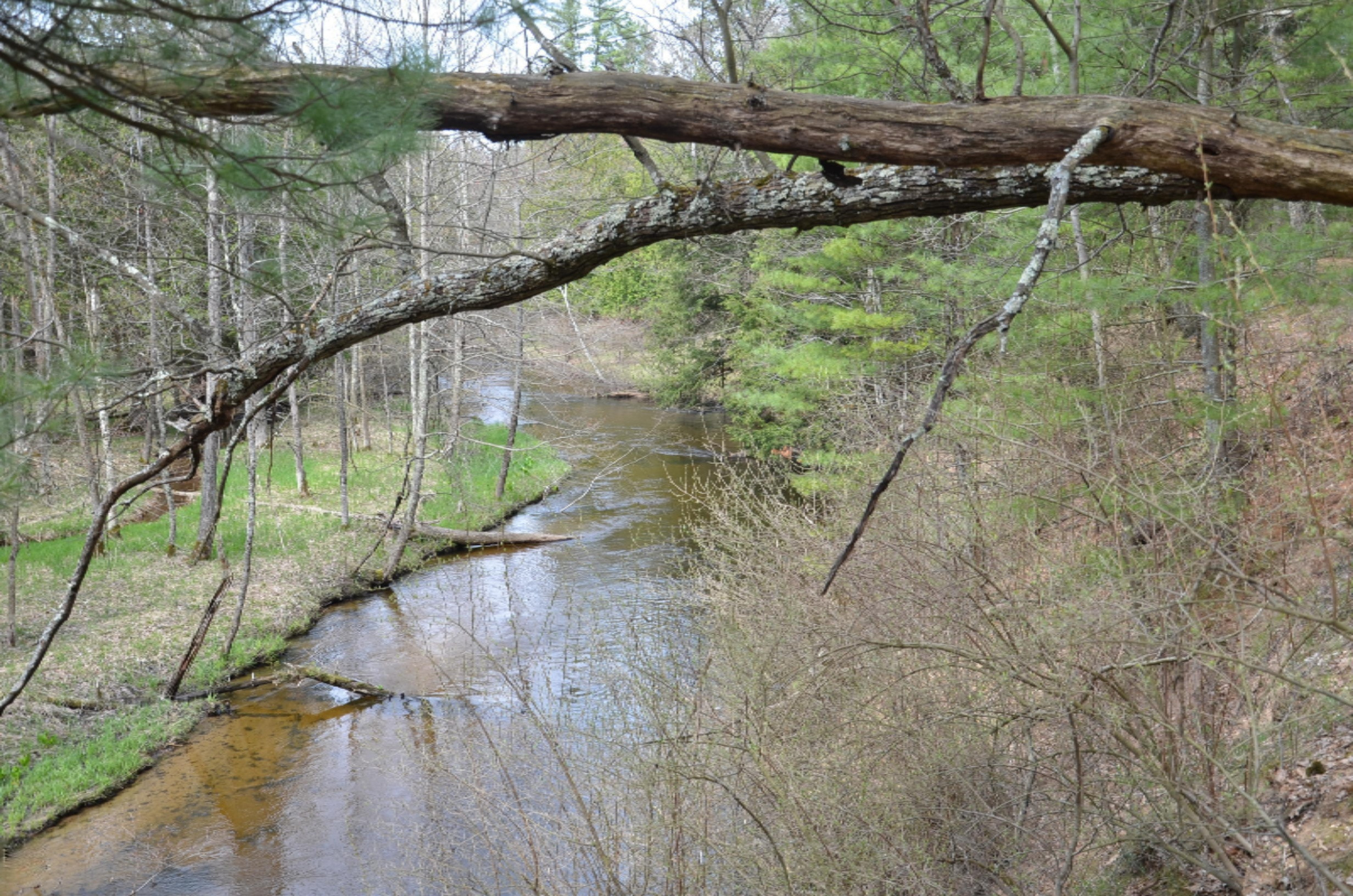 10873 North Hamilton Road Irons, MI 49644 - Photo 39 of 47 5 min walk to the Little Manistee River