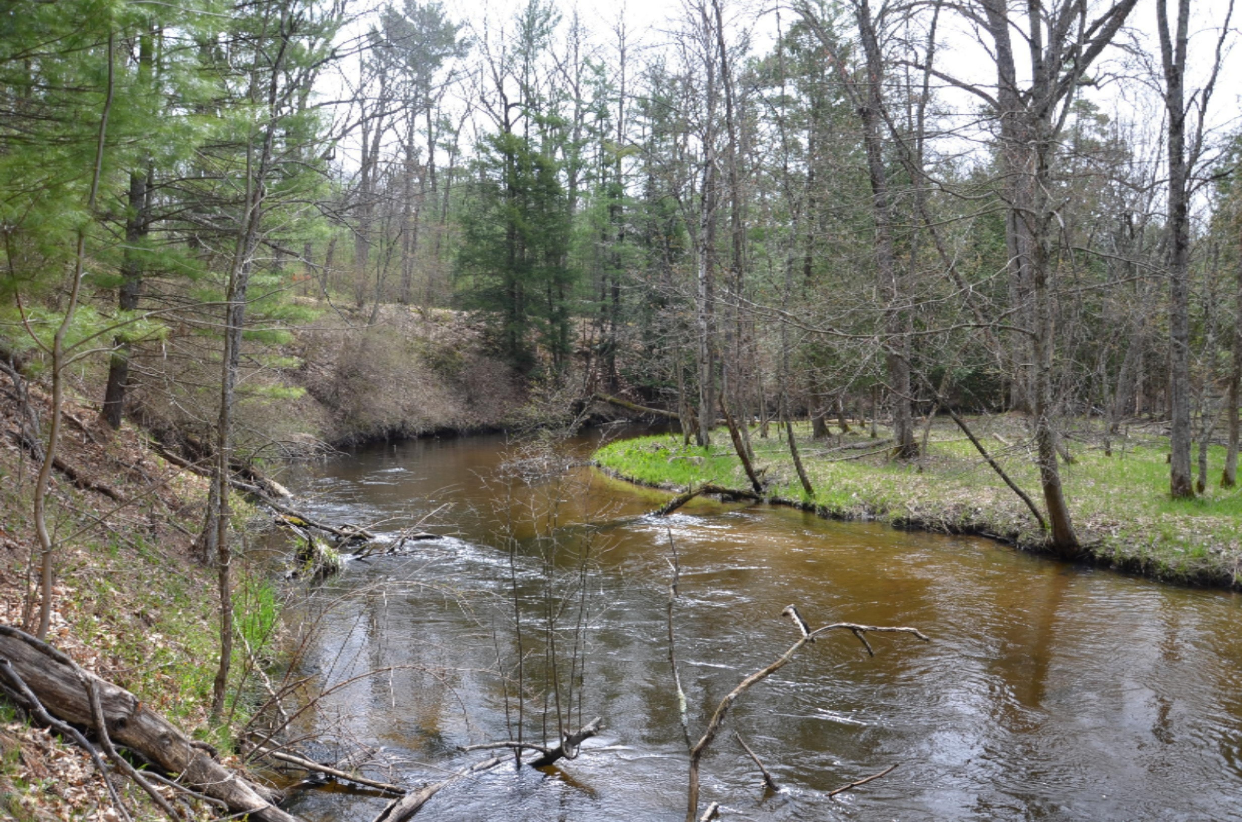 10873 North Hamilton Road Irons, MI 49644 - Photo 40 of 47 5 min walk to the Little Manistee River