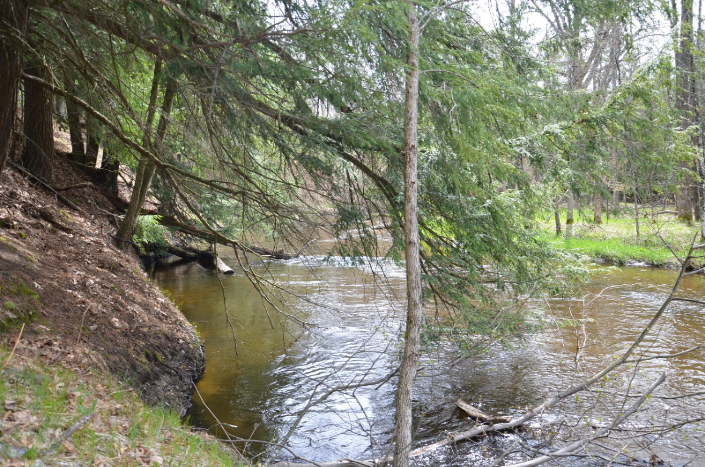 10873 North Hamilton Road Irons, MI 49644 - Photo 42 of 47 5 min walk to the Little Manistee River