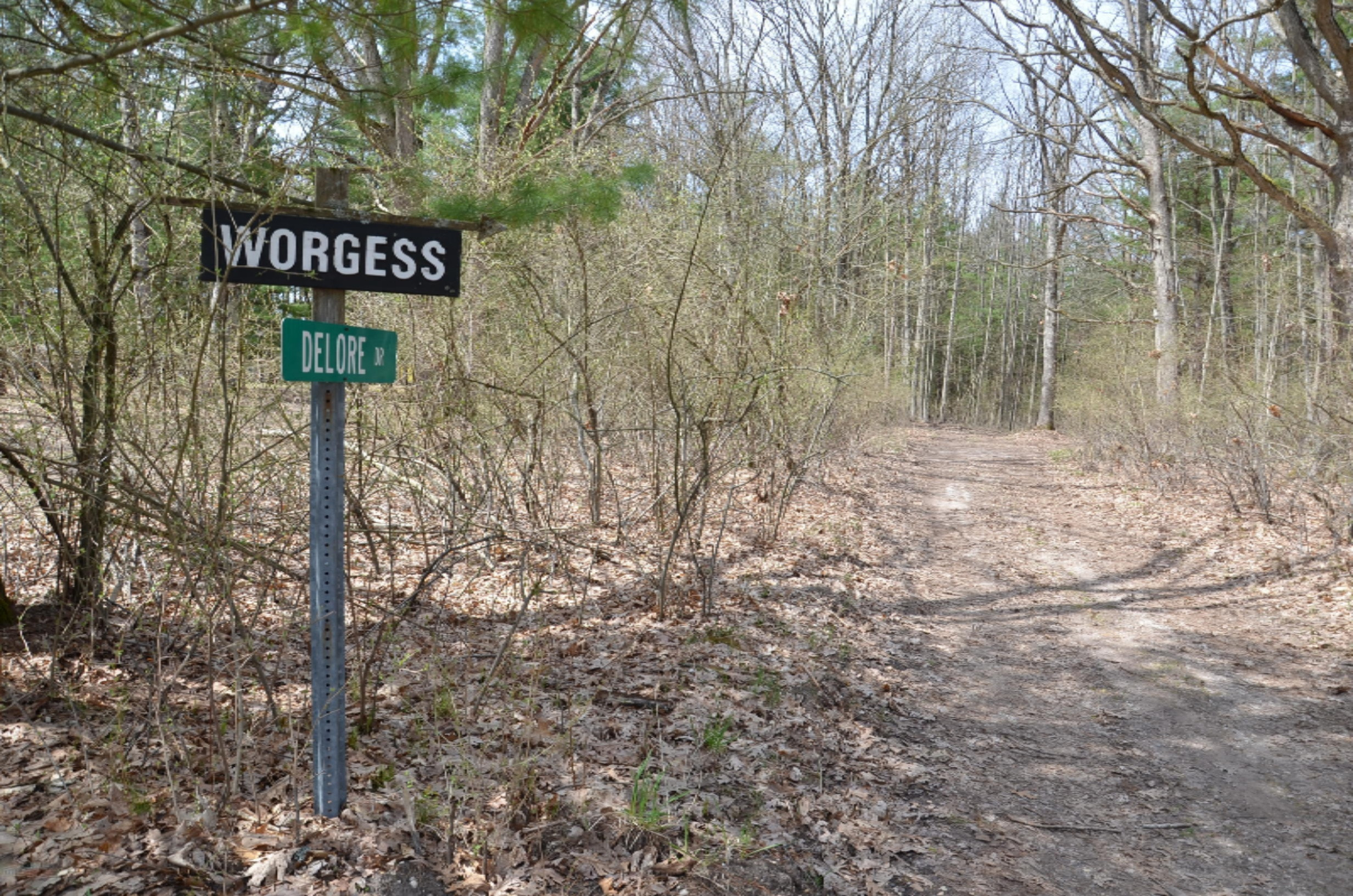 10873 North Hamilton Road Irons, MI 49644 - Photo 43 of 47 DSC_3797