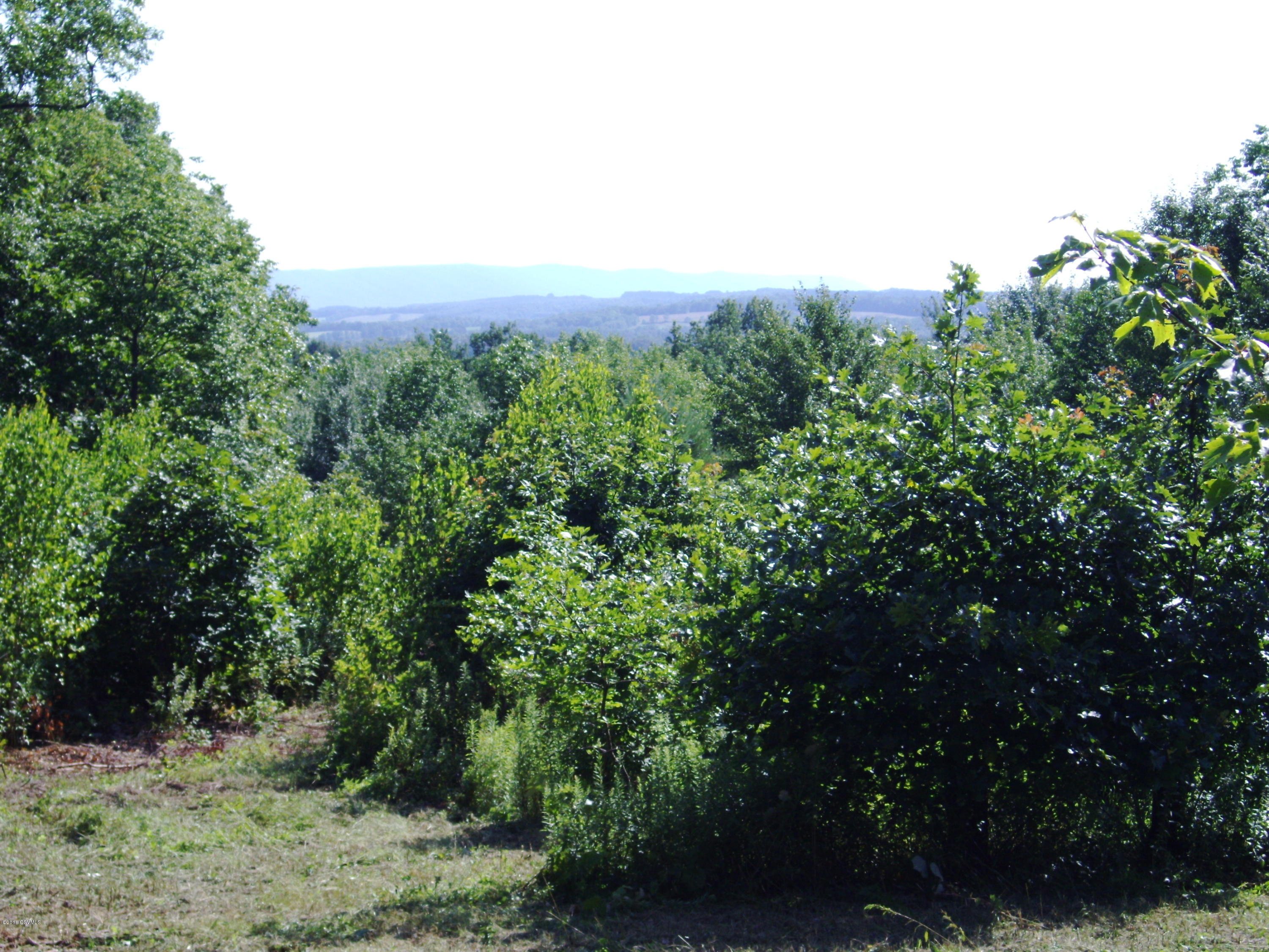 Marvin Road Shickshinny, PA 18655 - Photo 11 of 15