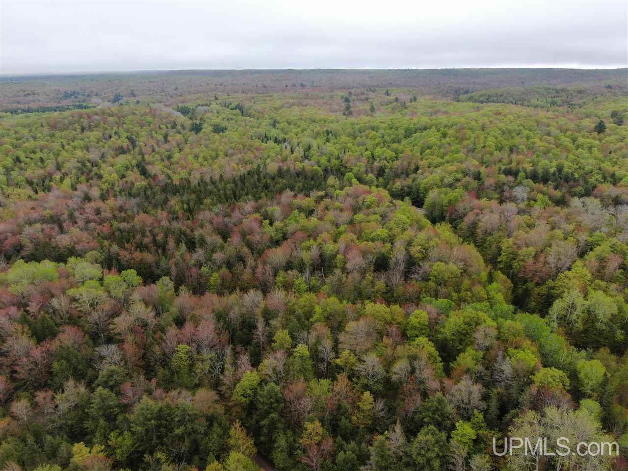 0 County Road 577 Road, Unit ANNA RIVER RDP Munising, MI 49862 - Photo 12 of 26