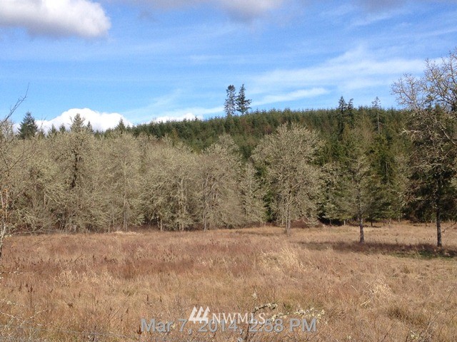 1 Tower Road Castle Rock, WA 98611 - Photo 1 of 1 Gallery Image 1