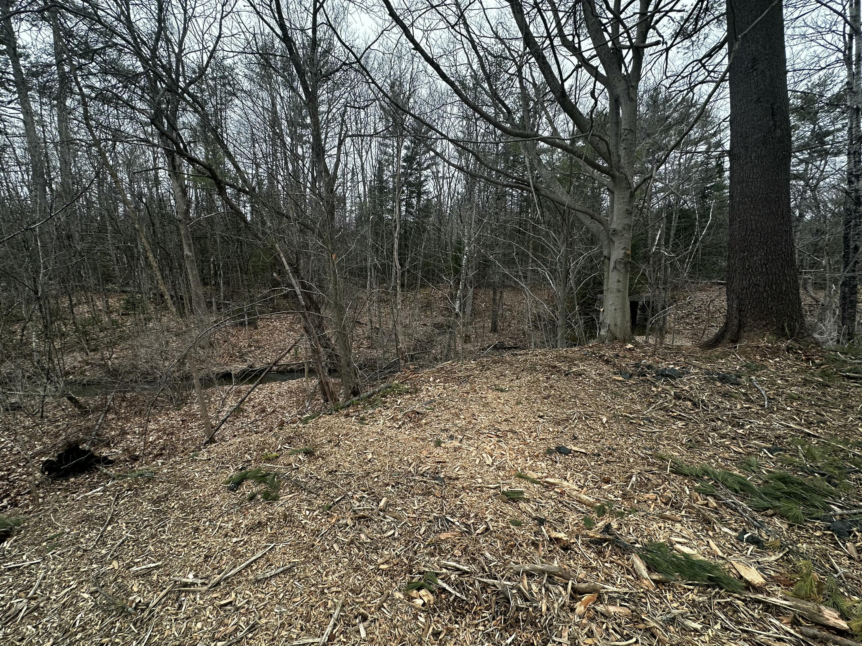 M14-l10 Waterville Road Skowhegan, ME 04976 - Photo 11 of 15 tempImagem4N16P