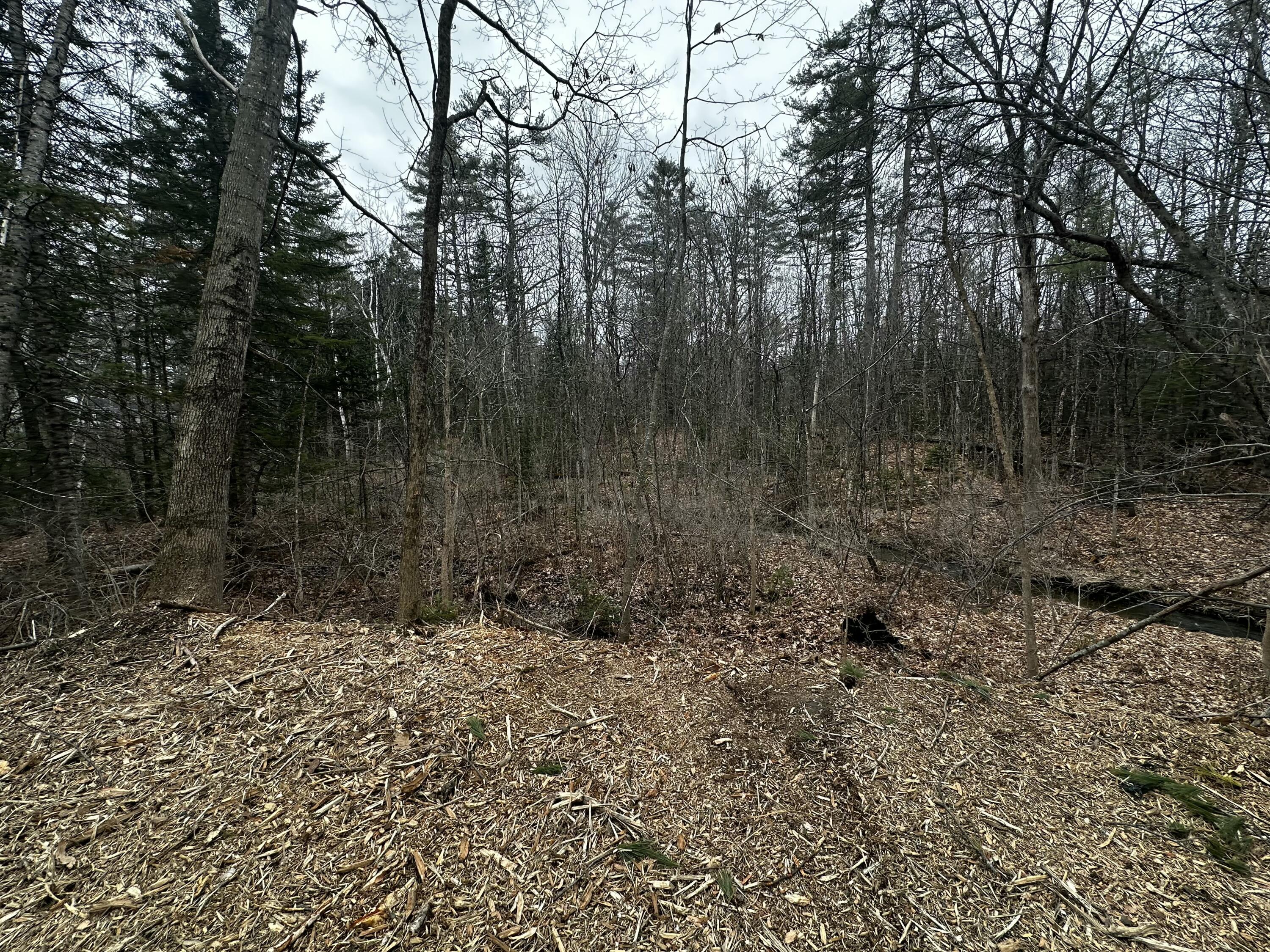 M14-l10 Waterville Road Skowhegan, ME 04976 - Photo 13 of 15 tempImageVEGm1i