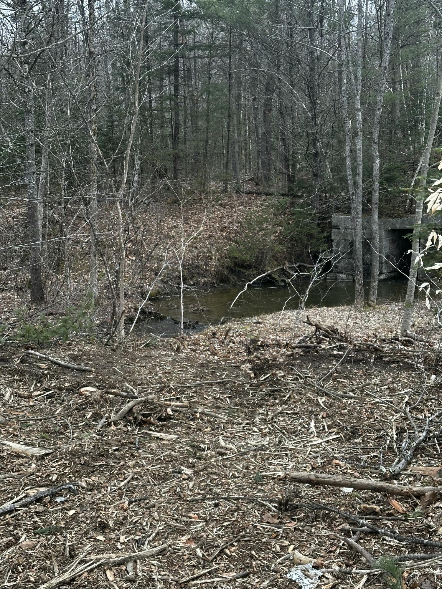 M14-l10 Waterville Road Skowhegan, ME 04976 - Photo 8 of 15 tempImage1G0AFx