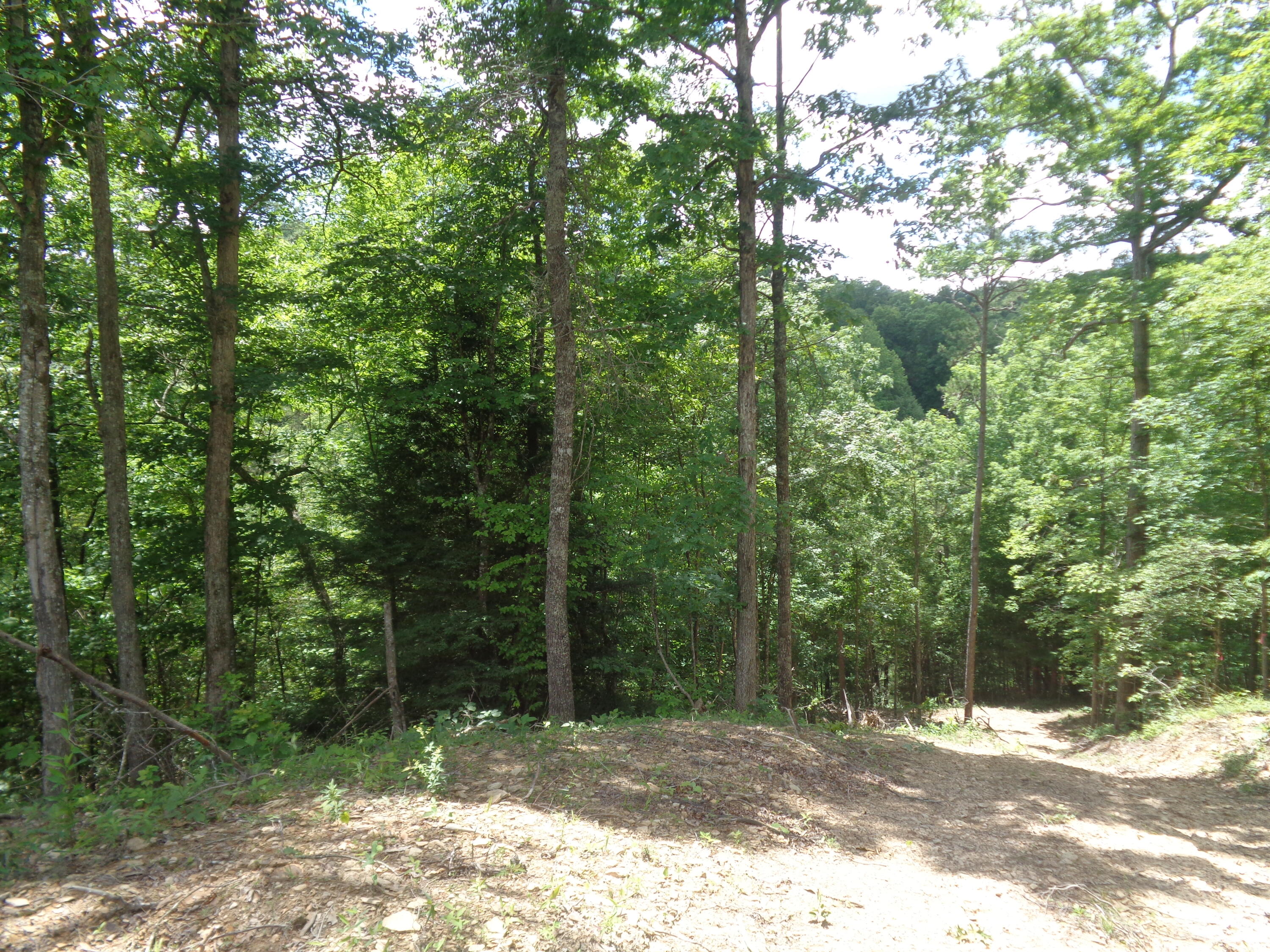 Lot 9 Fount Hubbard Road London, KY 40741 - Photo 22 of 27 DSC04845