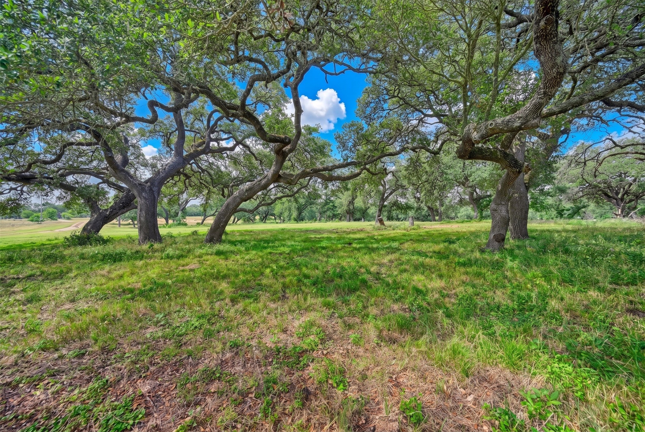 10100 Harmon School Road Burton, TX 77835 - Photo 1 of 26