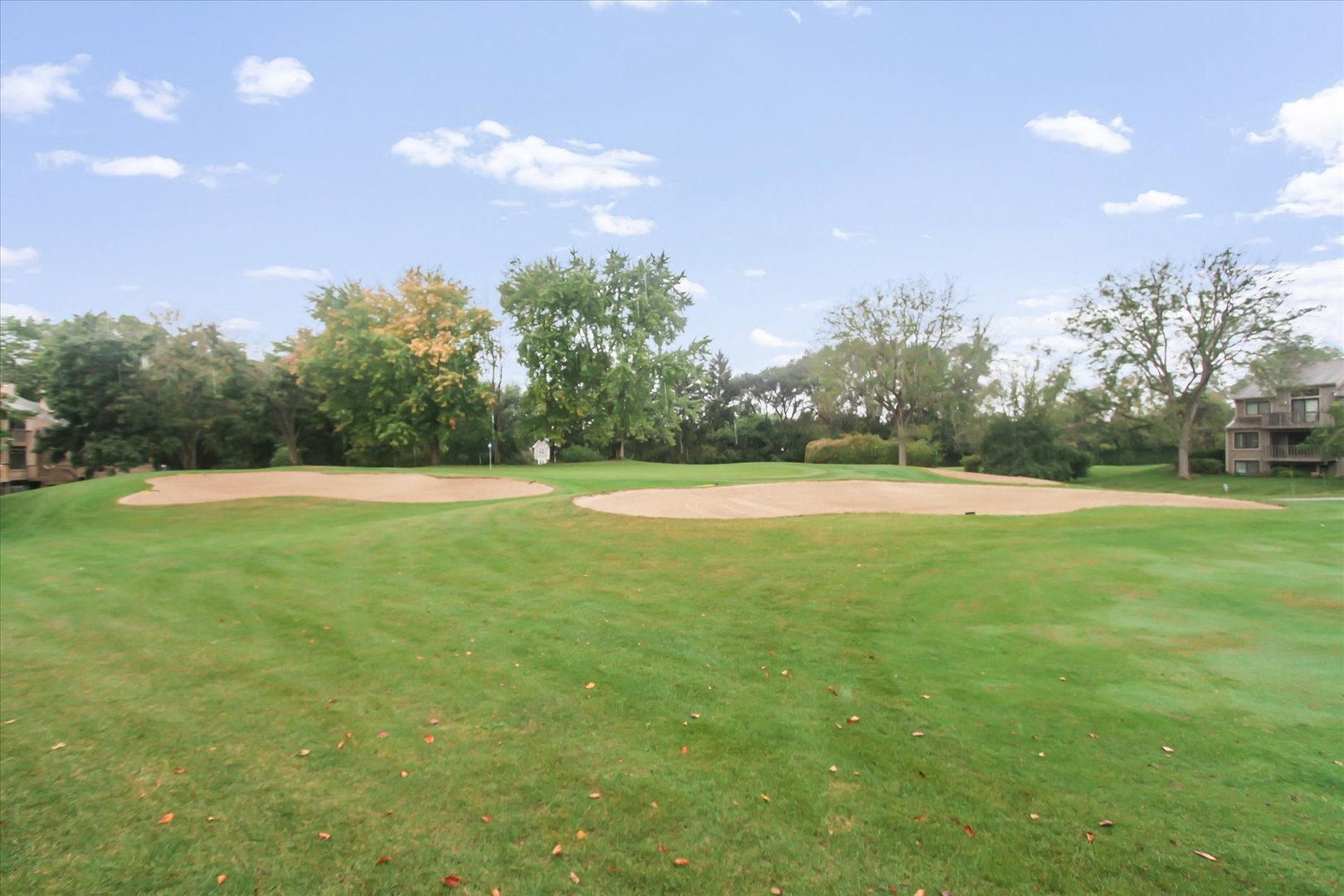 928 Longmeadow Court, Unit 1016 Barrington, IL 60010 - Photo 13 of 32 a view of a green field with trees in the background