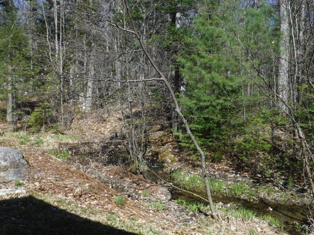 62 Byron Village Road Roxbury, ME 04275 - Photo 8 of 36 20 Lot