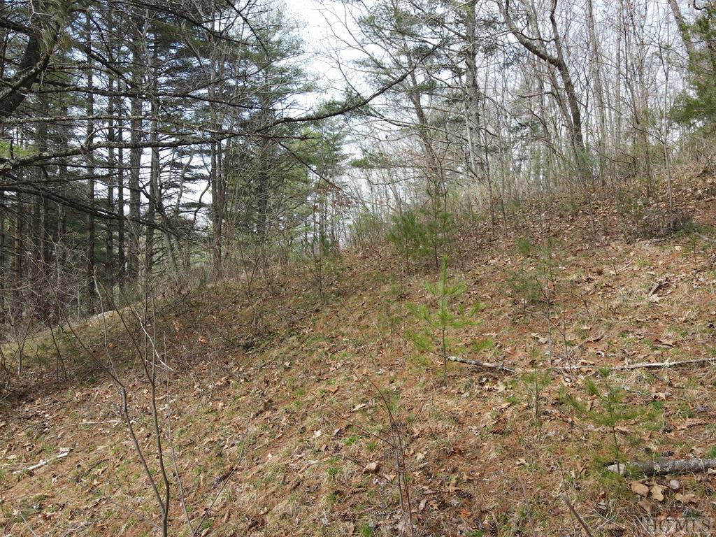 Tbd Pine Creek Road Cullowhee, NC 28723 - Photo 26 of 51 Gallery Image 26