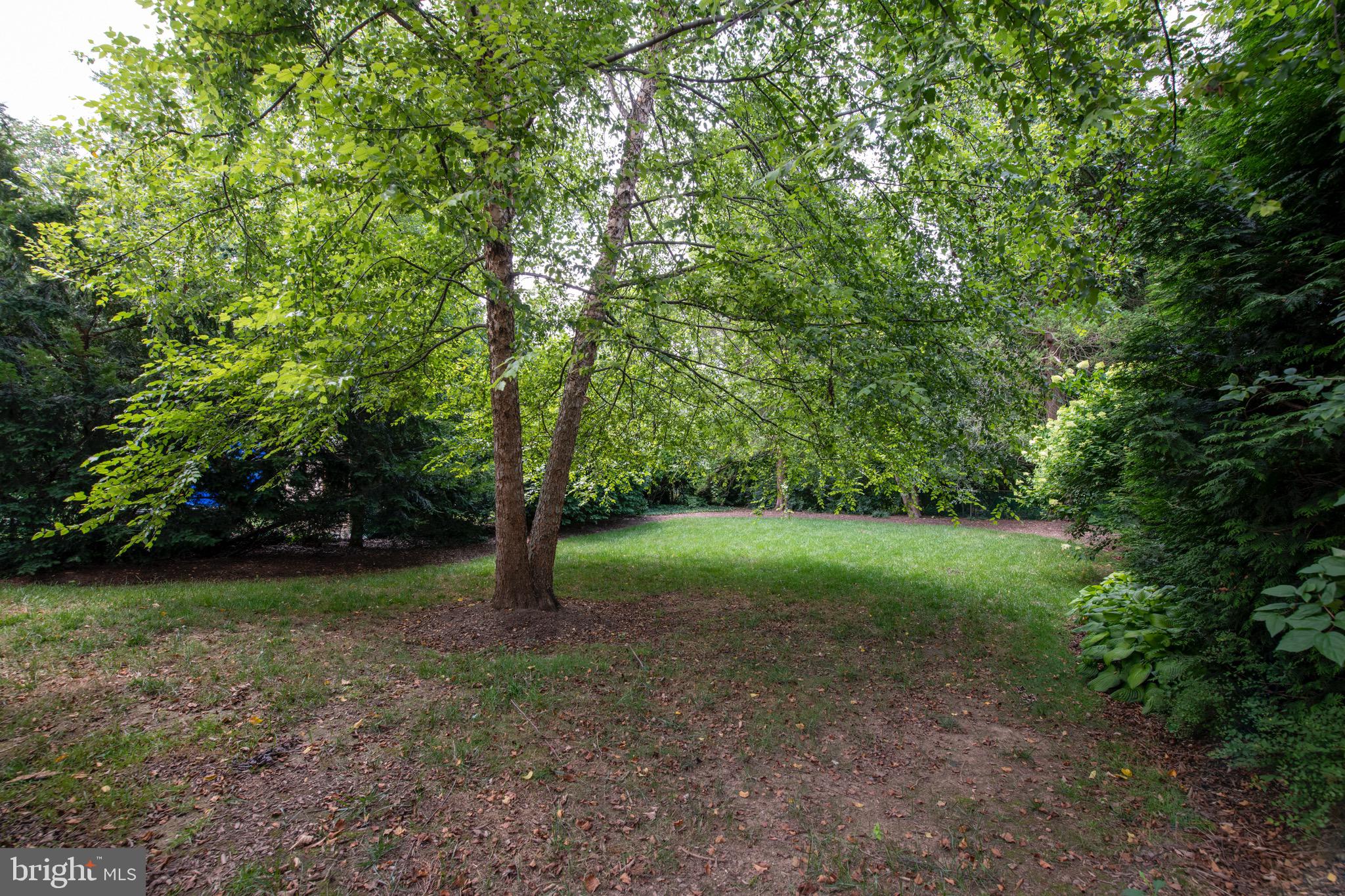 6683 Loch Hill Road Baltimore, MD 21239 - Photo 39 of 40