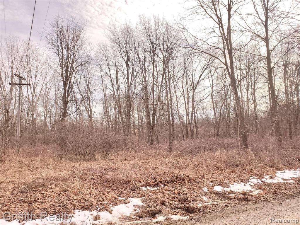 3150 Crandall Road Howell, MI 48855 - Photo 2 of 2