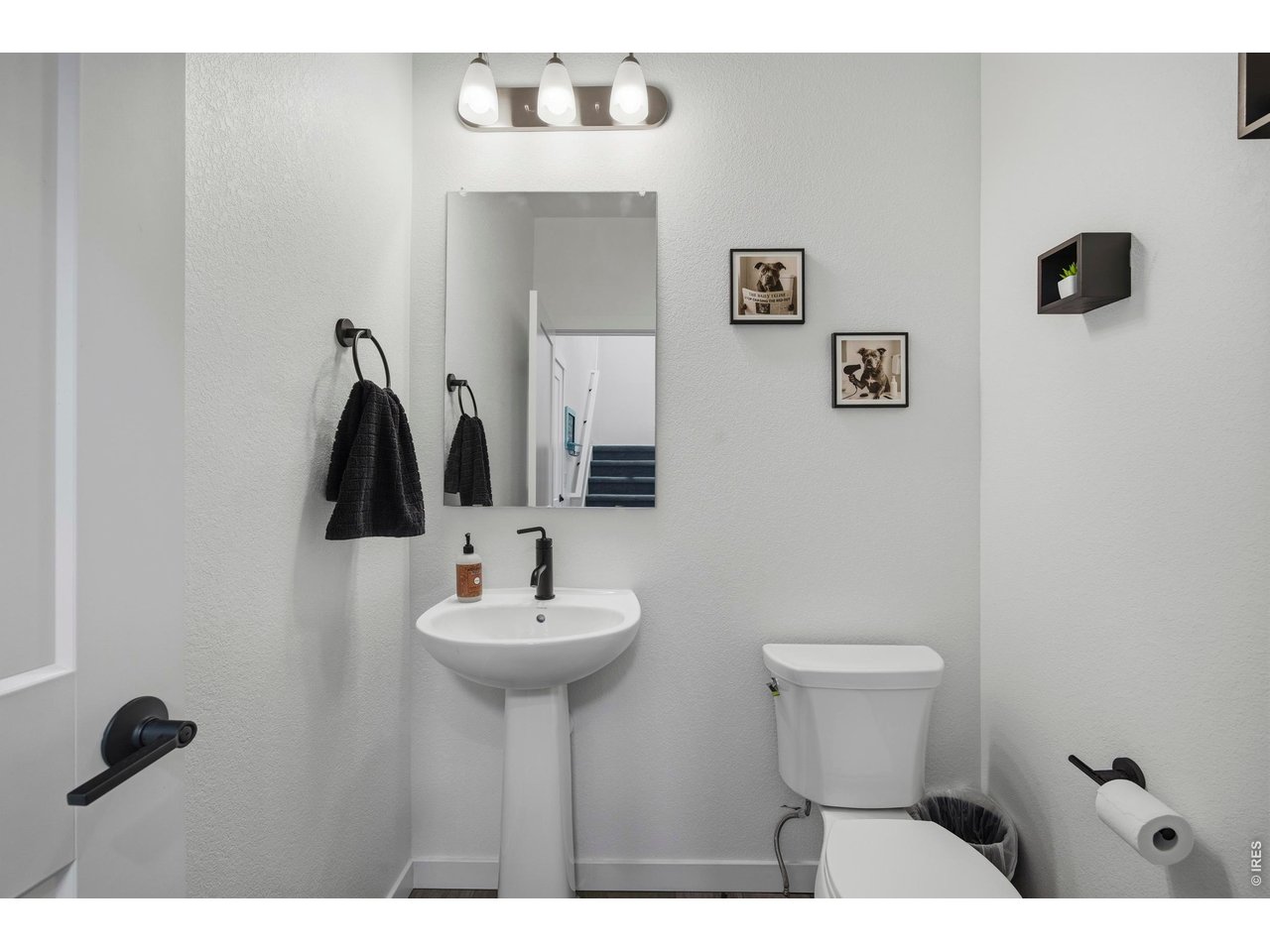 5864 Rendezvous Parkway Timnath, CO 80547 - Photo 18 of 42