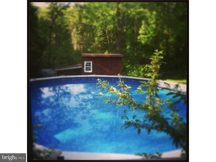 63 Golf Course Road Mohnton, PA 19540 - Photo 18 of 18 Pool