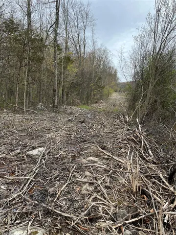a view of a yard with trees