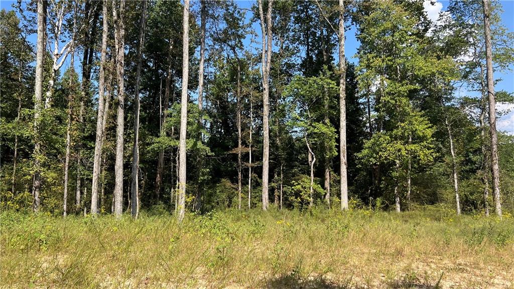 512 Level Creek Road Sugar Hill, GA 30518 - Photo 5 of 7