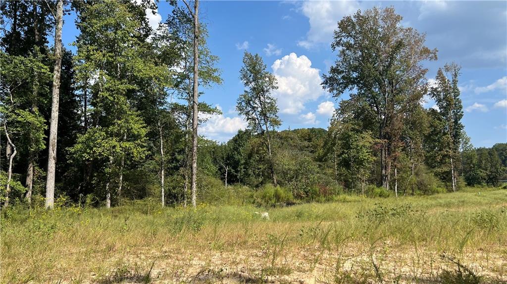 512 Level Creek Road Sugar Hill, GA 30518 - Photo 6 of 7