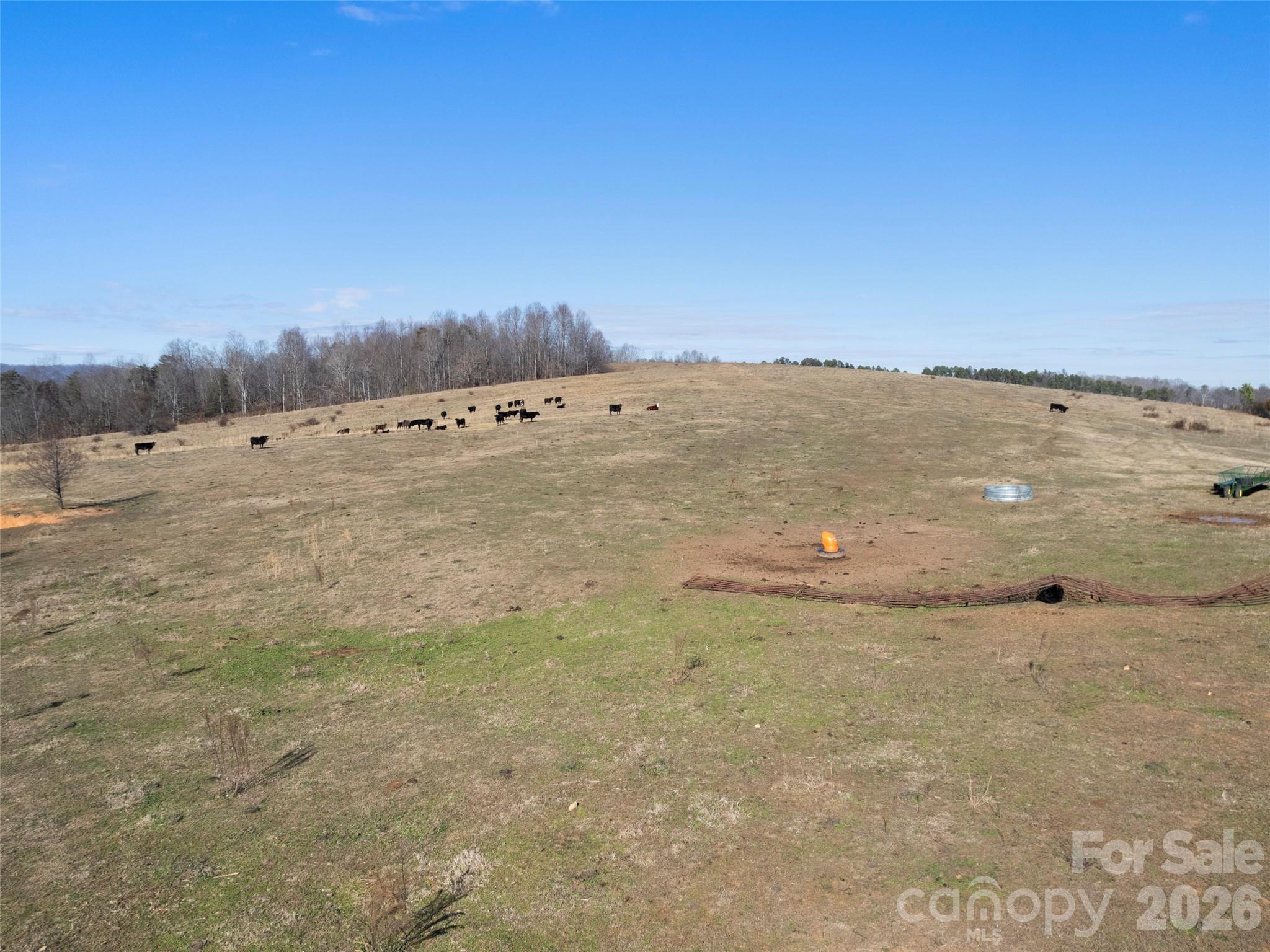 9999 Walker Road Nebo, NC 28761 - Photo 11 of 23