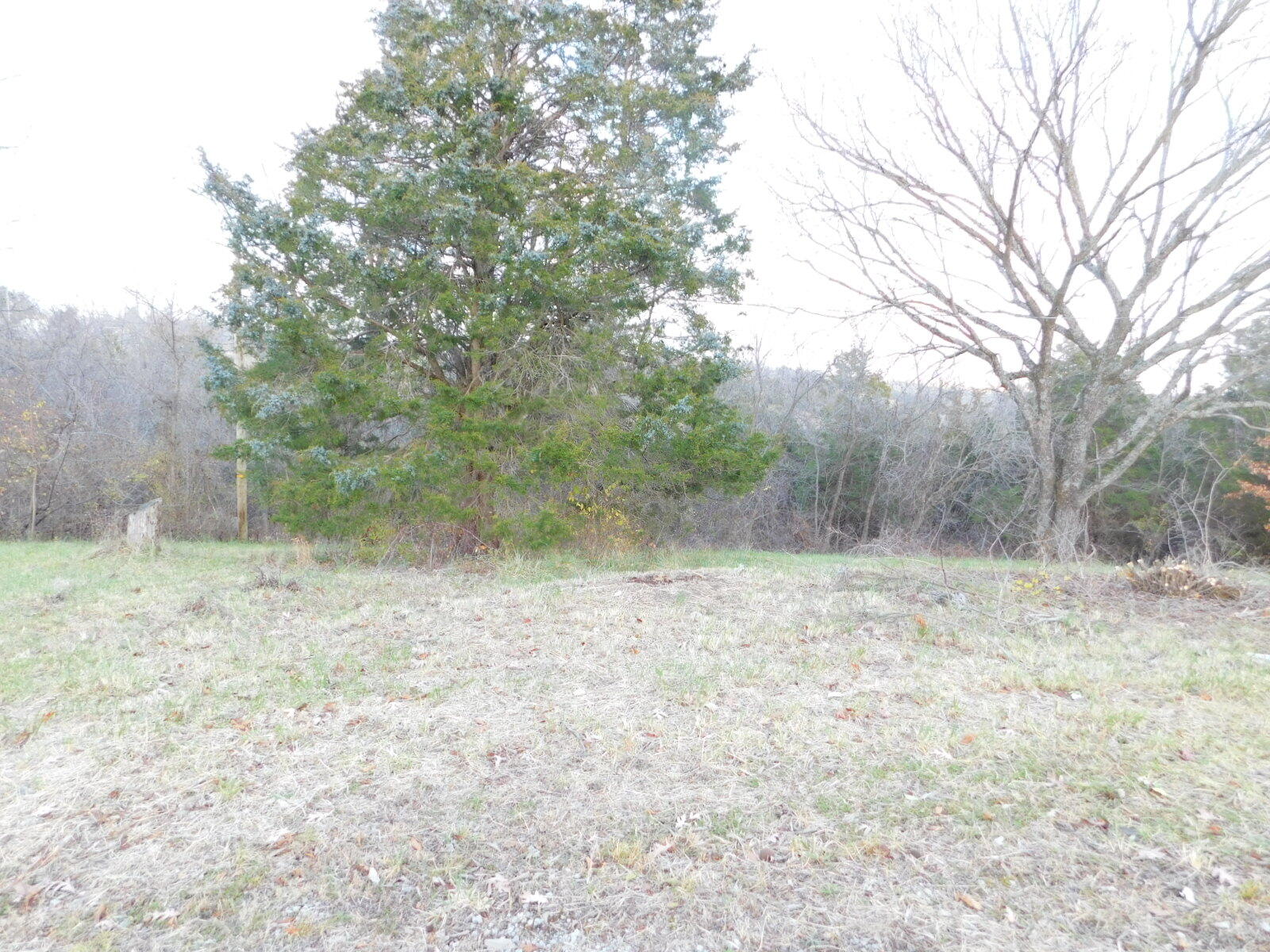 3600 Baker Williams Road Corinth, KY 41010 - Photo 7 of 8 Gallery Image 7