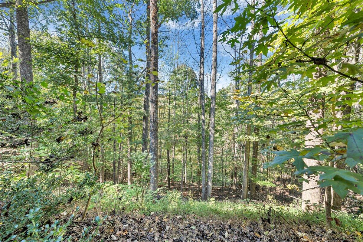 5539 Highfields Road Roanoke, VA 24018 - Photo 71 of 73 71-MIB03366