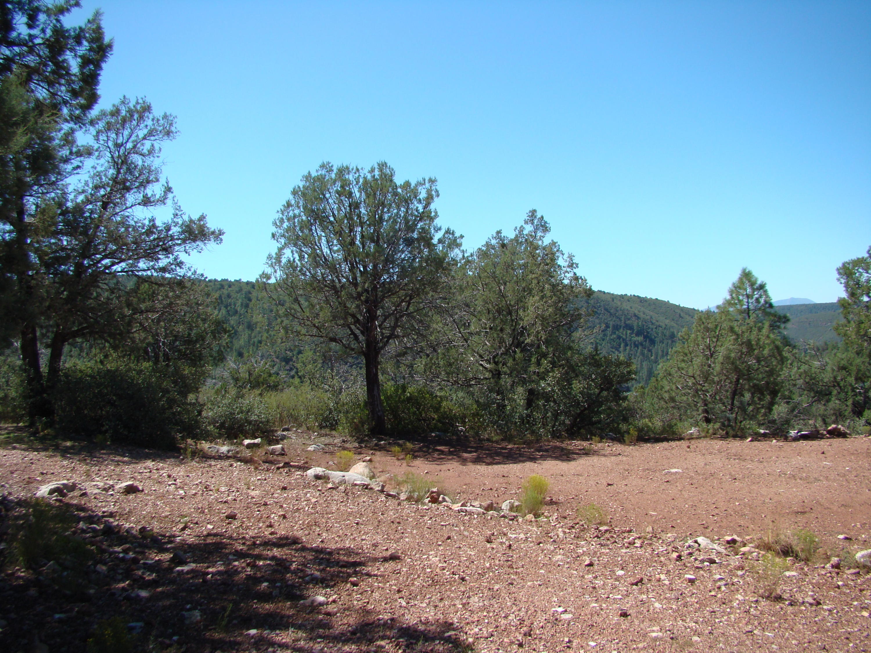 17033 Fire Control Road Payson, AZ 85541 - Photo 10 of 28