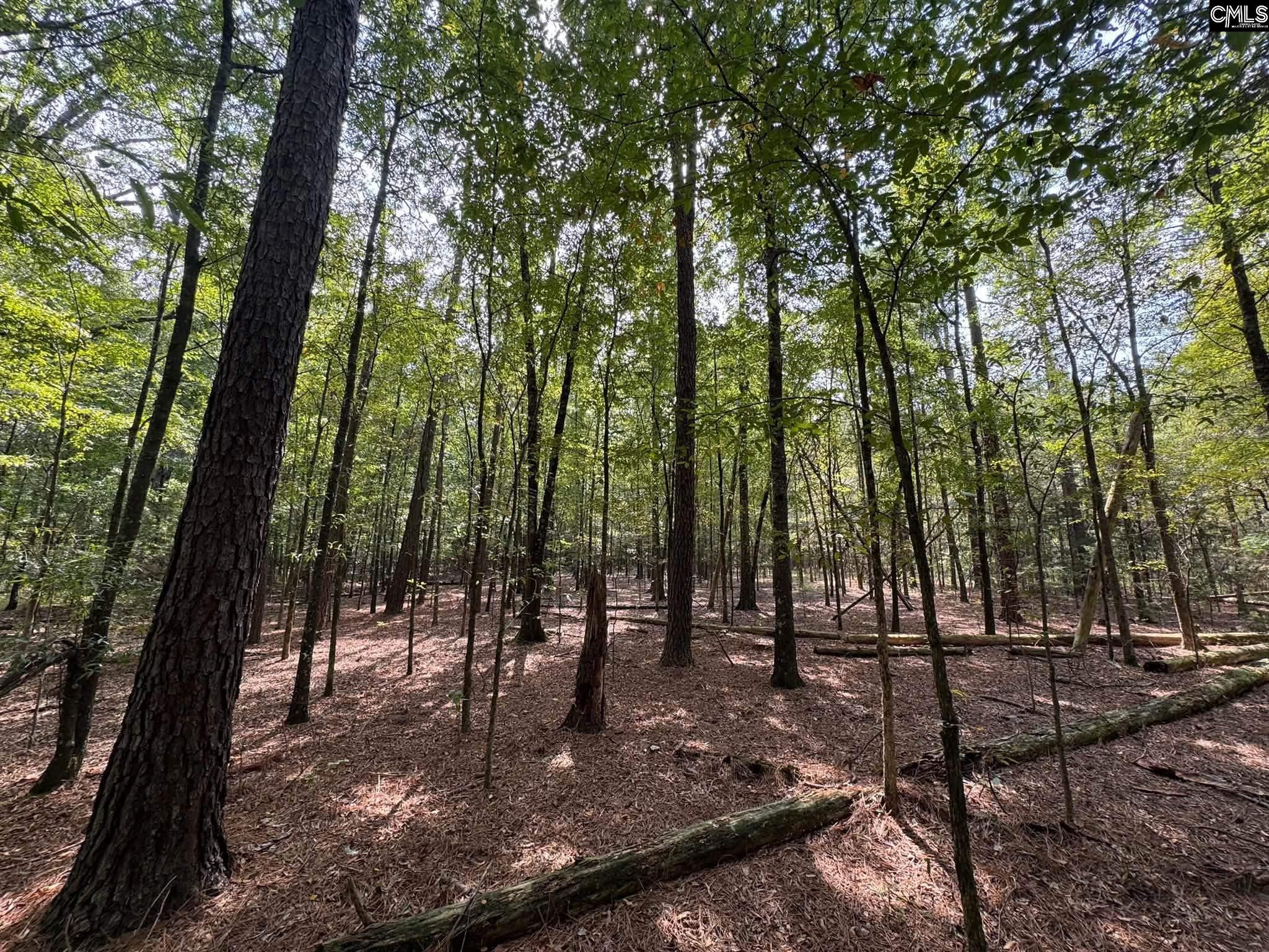 Pencreek Road Johnston, SC 29832 - Photo 25 of 59 Gallery Image 25