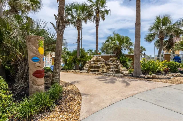 a view of a garden with a plant