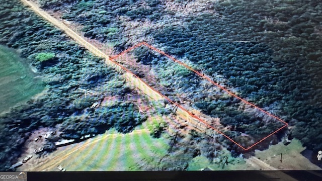 0 Spencer Road Dixie, GA 31629 - Photo 2 of 5 a picture of trees