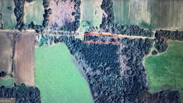 0 Spencer Road Dixie, GA 31629 - Photo 4 of 5 a view of a backyard