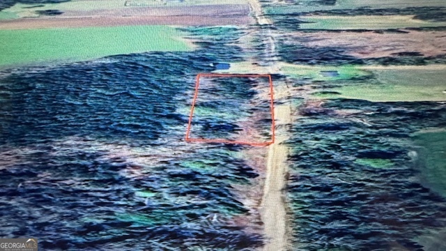 0 Spencer Road Dixie, GA 31629 - Photo 5 of 5 a view of a yard with plants