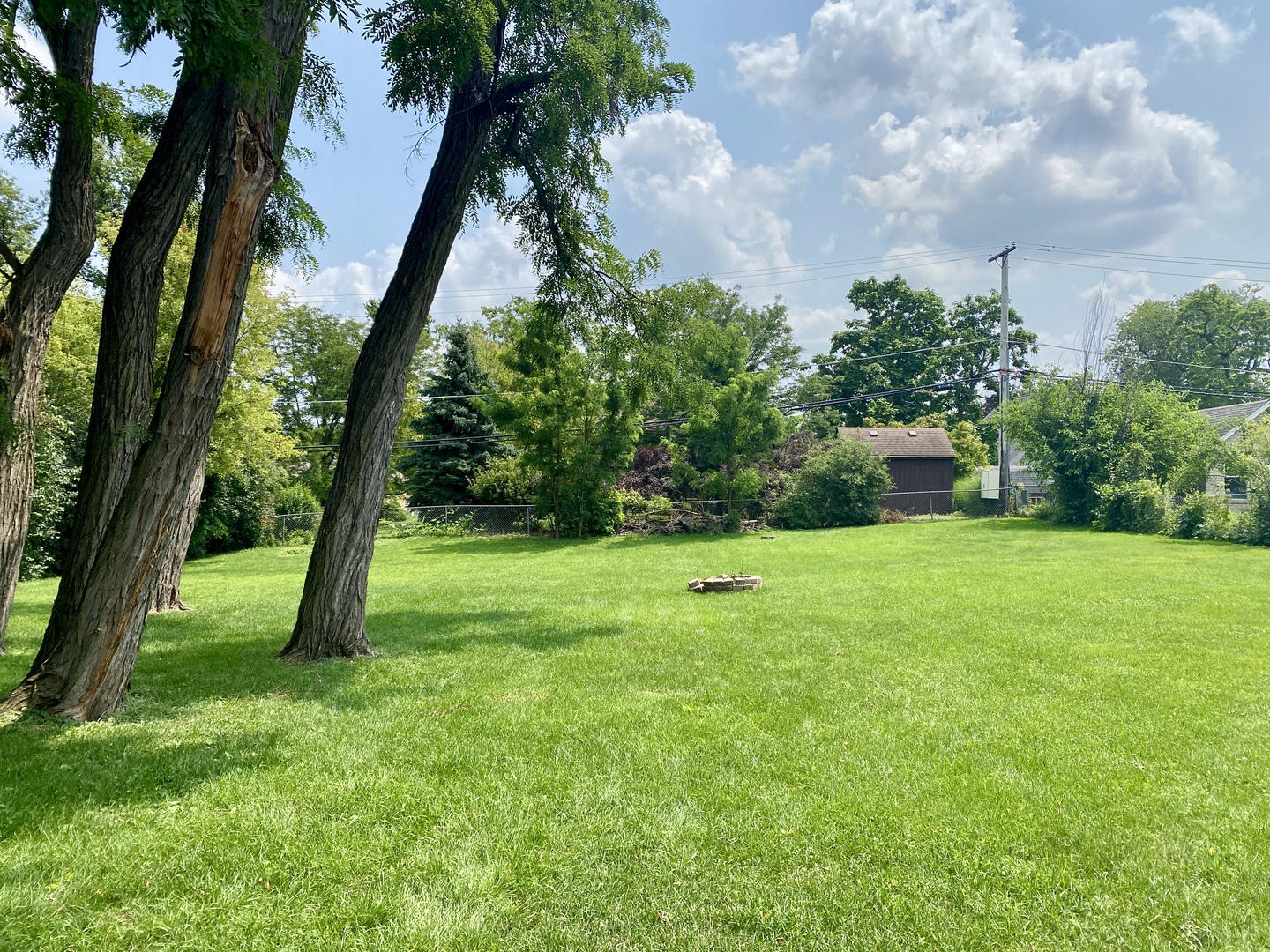 6845 Willow Springs Road Countryside, IL 60525 - Photo 14 of 16 a view of a garden with a tree