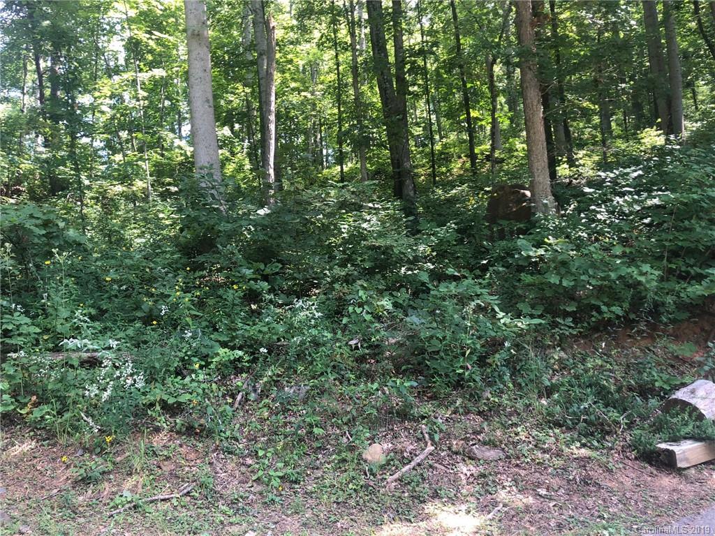 9999 Wilson Cove Road, Unit PT 4 Swannanoa, NC 28778 - Photo 2 of 6 Gallery Image 2