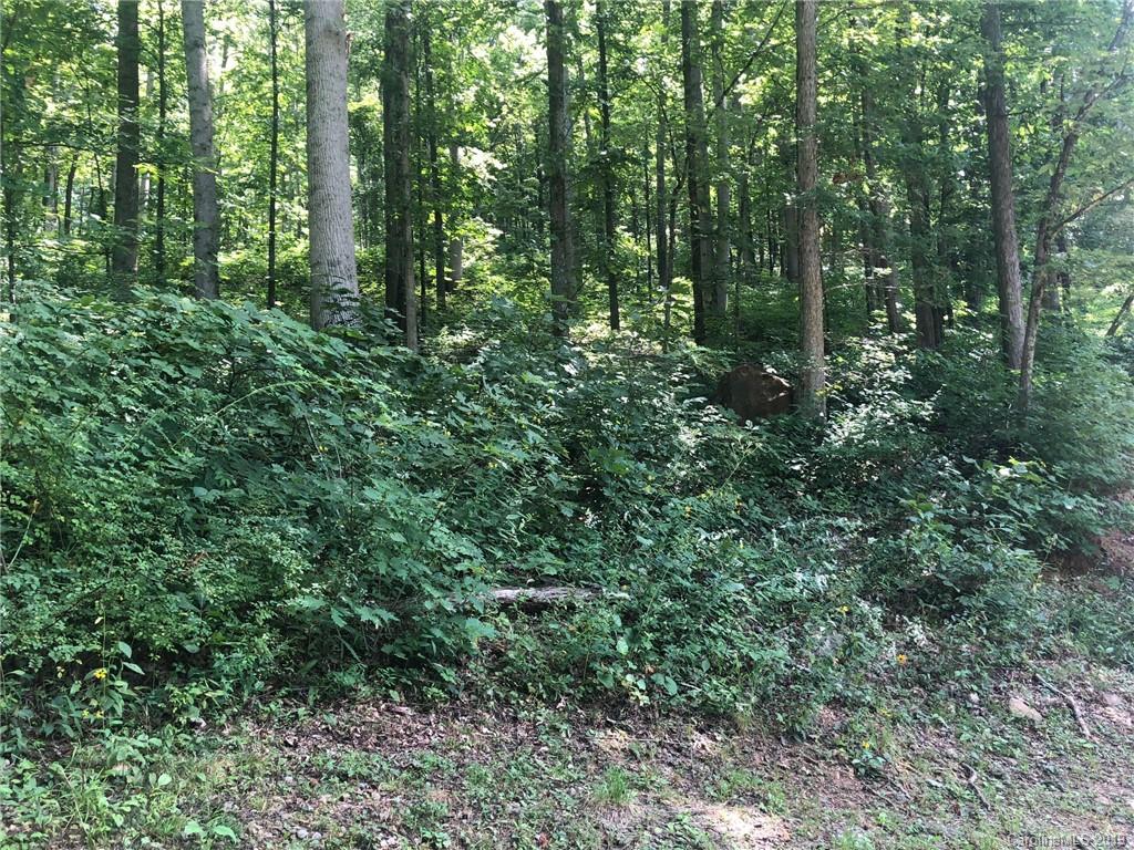 9999 Wilson Cove Road, Unit PT 4 Swannanoa, NC 28778 - Photo 3 of 6 Gallery Image 3