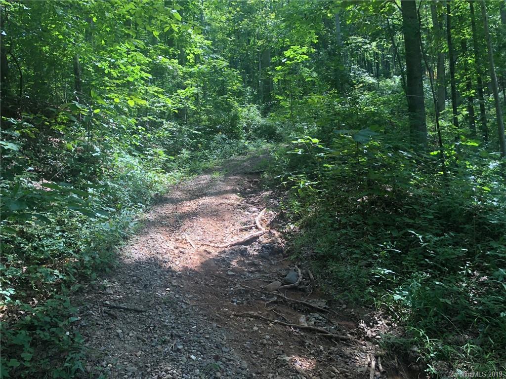 9999 Wilson Cove Road, Unit PT 4 Swannanoa, NC 28778 - Photo 5 of 6 Gallery Image 5